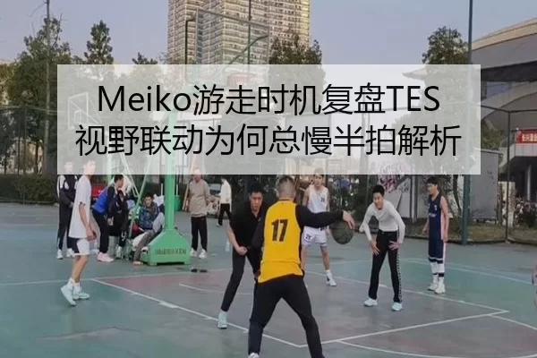 Meiko游走时机复盘TES视野联动为何总慢半拍解析