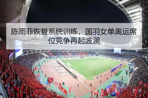 陈雨菲恢复系统训练，国羽女单奥运席位竞争再起波澜